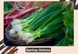 Top 5 Substitutes for Leeks: Flavorful Swaps [2026]