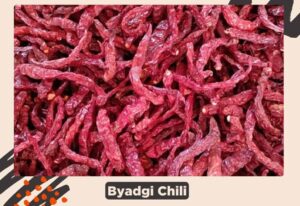 5 Best Kashmiri Chili Powder Substitutes: Elevate the Recipe [2026]