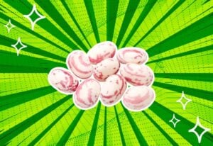 substitutes-for-Borlotti-Beans