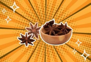 substitutes-for-anise