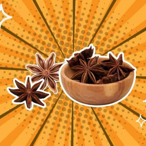 substitutes-for-anise