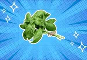 substitutes-for-basil