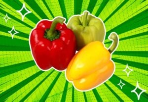 substitutes-for-bell-peppers