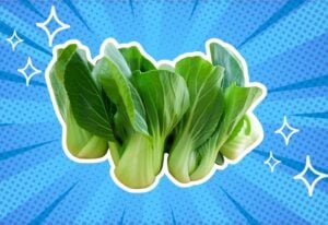 substitutes-for-bok-choy