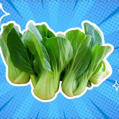 substitutes-for-bok-choy