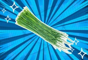 substitutes-for-chives