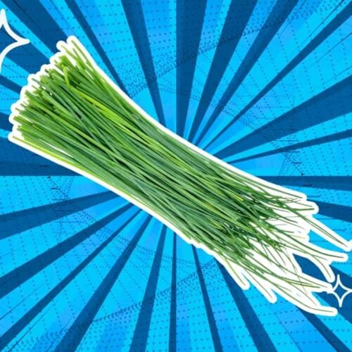 substitutes-for-chives