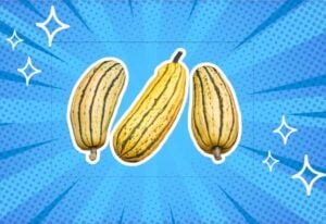 substitutes-for-delicata-squash