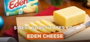 substitutes-for-eden-cheese