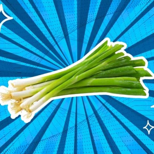 substitutes-for-green-onions