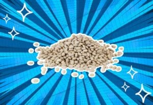 substitutes-for-navy-beans