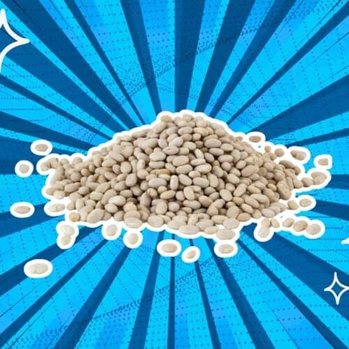 substitutes-for-navy-beans