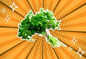 substitutes-for-parsley