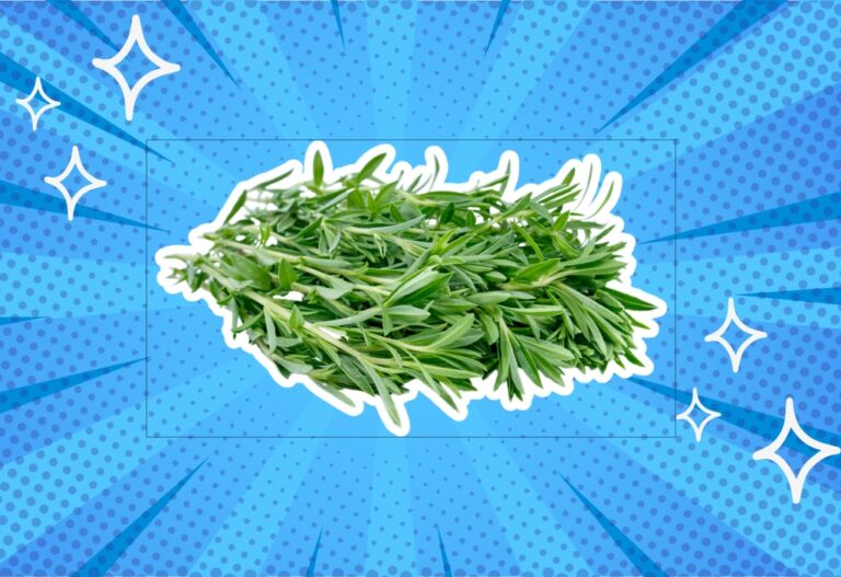 Unlock Flavor The Ultimate Guide To Summer Savory Substitutes - d9lnsno