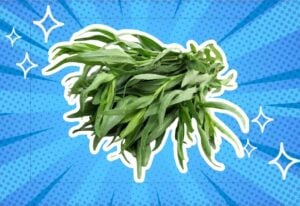 substitutes-for-tarragon