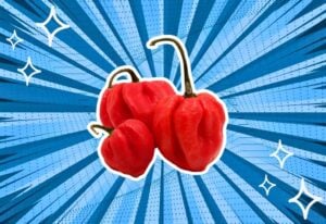 pimento-pepper-substitutes
