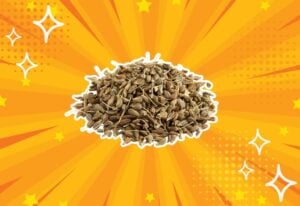 substitutes-for-Aniseeds