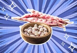 substitutes-for-Cranberry-Beans