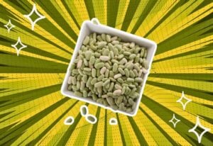 substitutes-for-Flageolet-Beans