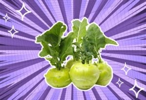 substitutes-for-Kohlrabi