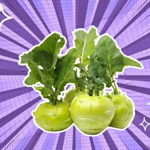 substitutes-for-Kohlrabi