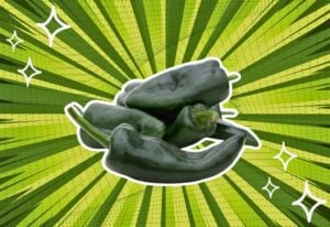 substitutes-for-Poblano-Peppers