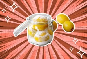 substitutes-for-Preserved-Lemons