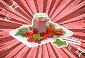substitutes-for-Red-Currant-Jelly