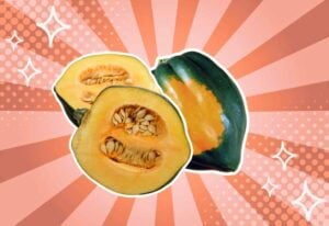 substitutes-for-acorn-squash