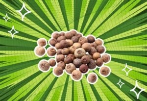 substitutes-for-allspice