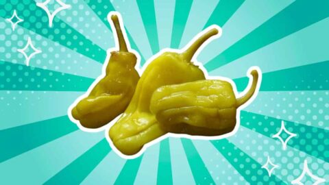 Simple Substitutes for Poblano Peppers: 5 Tasty Options [2025]