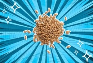 substitutes-for-barley