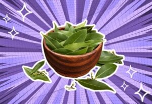 substitutes-for-bay-leaves