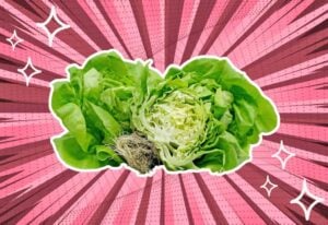 substitutes-for-bibb-lettuce