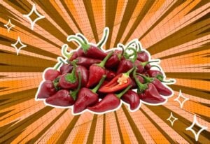 substitutes-for-calabrian-chili