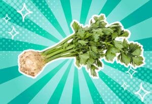 substitutes-for-celeriac