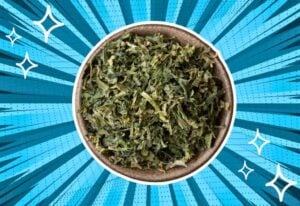 substitutes-for-celery-flakes