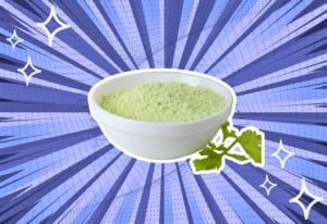 substitutes-for-celery-powder