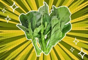 substitutes-for-chinese-broccoli
