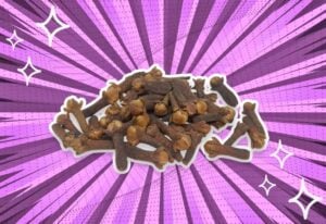 substitutes-for-cloves