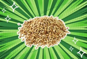 substitutes-for-coriander-seeds