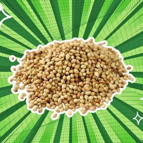 substitutes-for-coriander-seeds