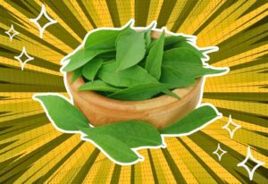 substitutes-for-curry-leaves