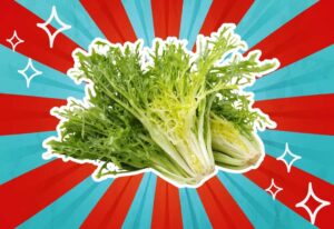 substitutes-for-escarole