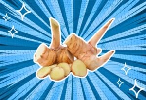 substitutes-for-galangal
