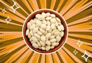 substitutes-for-great-northern-beans
