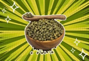 substitutes-for-green-peppercorns