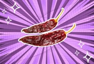 substitutes-for-guajillo-pepper