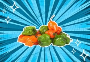 substitutes-for-habanero-pepper