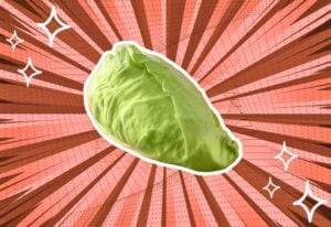 substitutes-for-hispi-cabbage